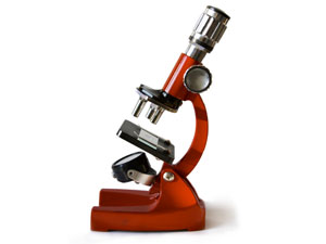 Forensic Servicing Review